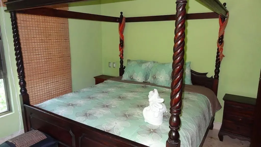 Paseo Del Sol Condohotel By Bvr Playa del Carmen Aparthotel